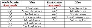 Các nguyên âm đơn trong Tiếng Anh