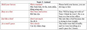 English phrases về chủ đề động vật