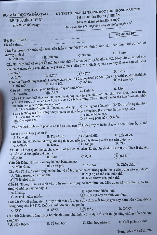 Đề thi chính thức môn Sinh Học tốt nghiệp THPT 2024 (trang 1)