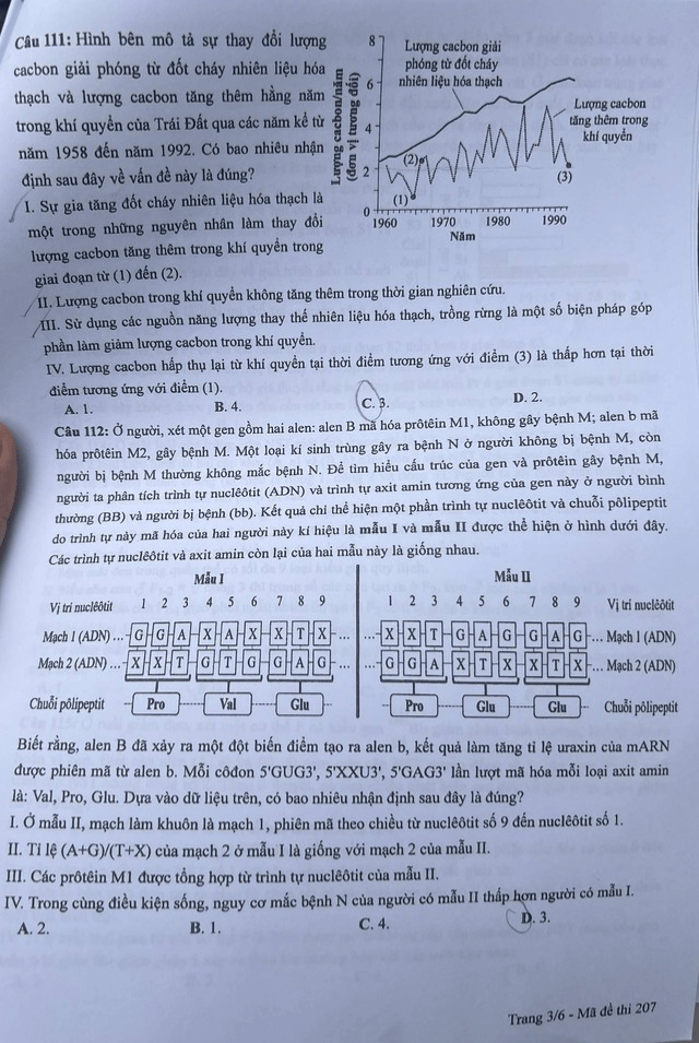 Đề thi chính thức môn Sinh Học tốt nghiệp THPT 2024 (trang 3)