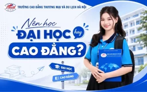 Nên học Đại Học hay Cao đẳng để không lo thất nghiệp 2026?